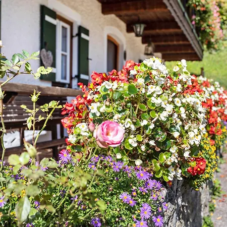 Edelweiss * Bad Reichenhall