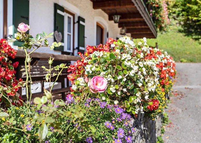 Edelweiss * Bad Reichenhall